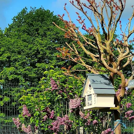 Проживание в семье Laloue