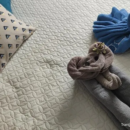 Проживание в семье Laloue