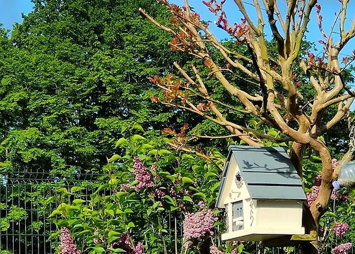 Habitación en casa particular Laloue